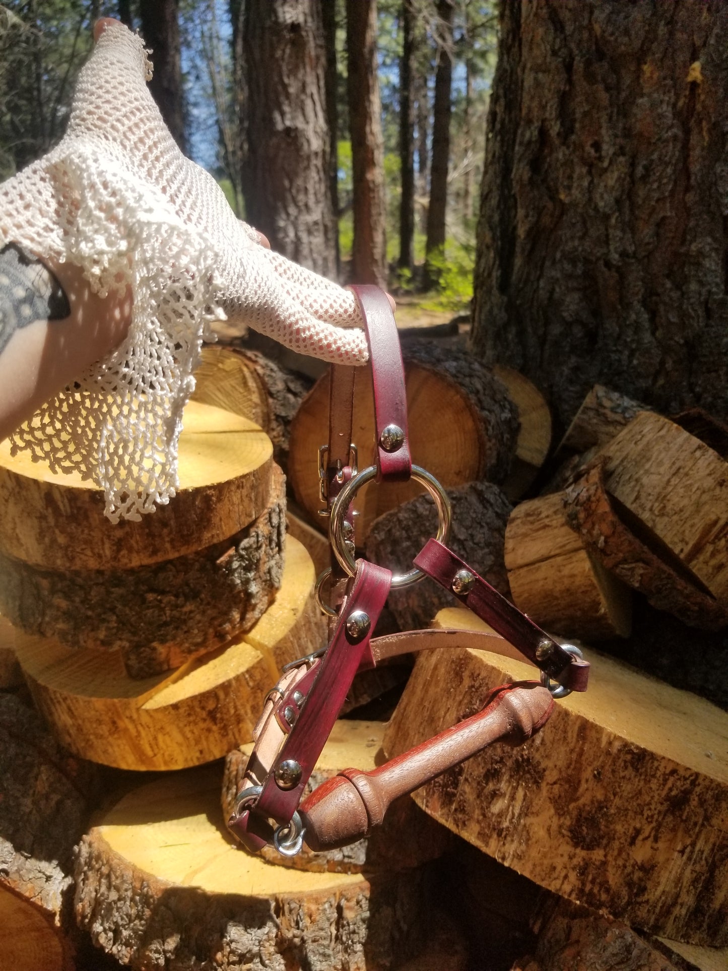 Juniper face strap/harness gag