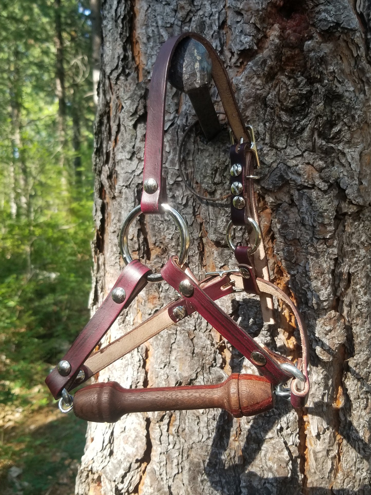 Juniper face strap/harness gag