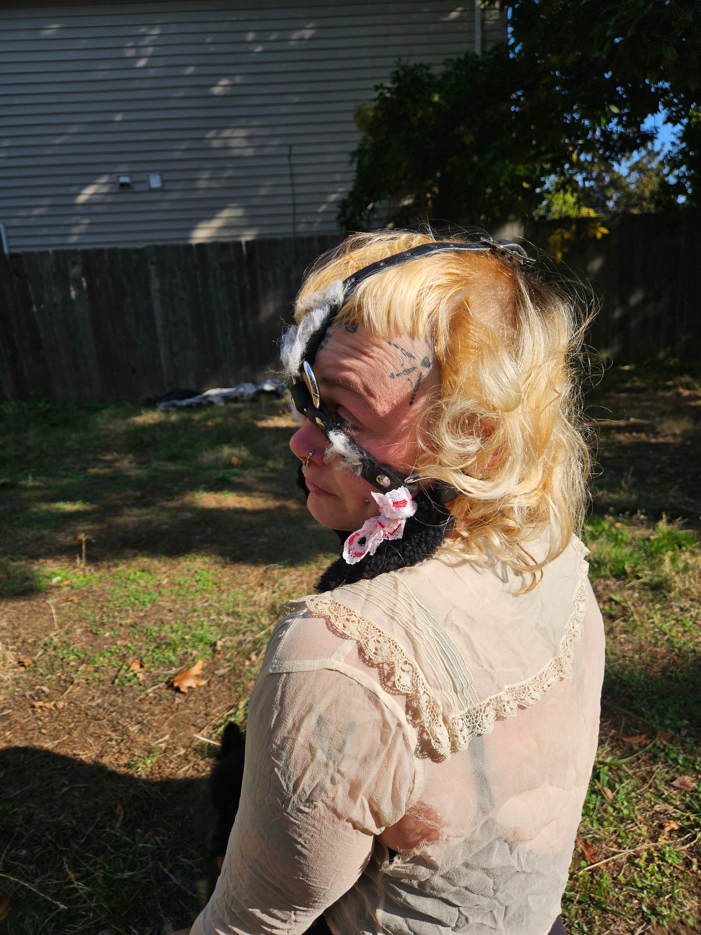 Sheep head harness