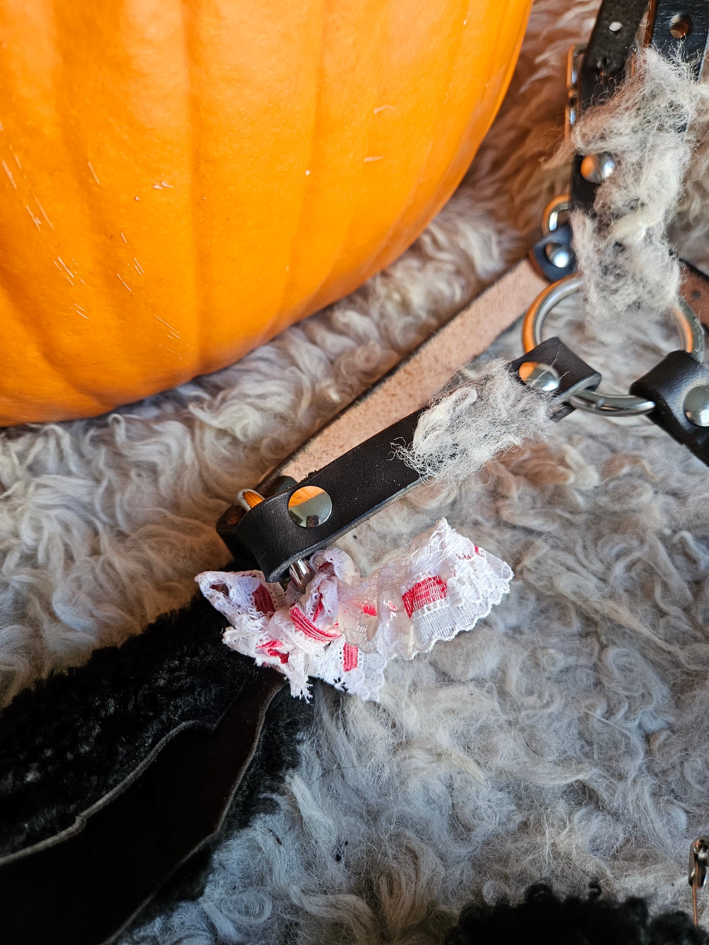 Sheep head harness