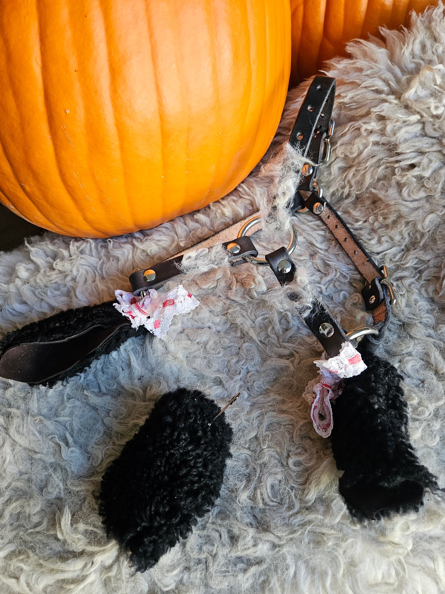 Sheep head harness