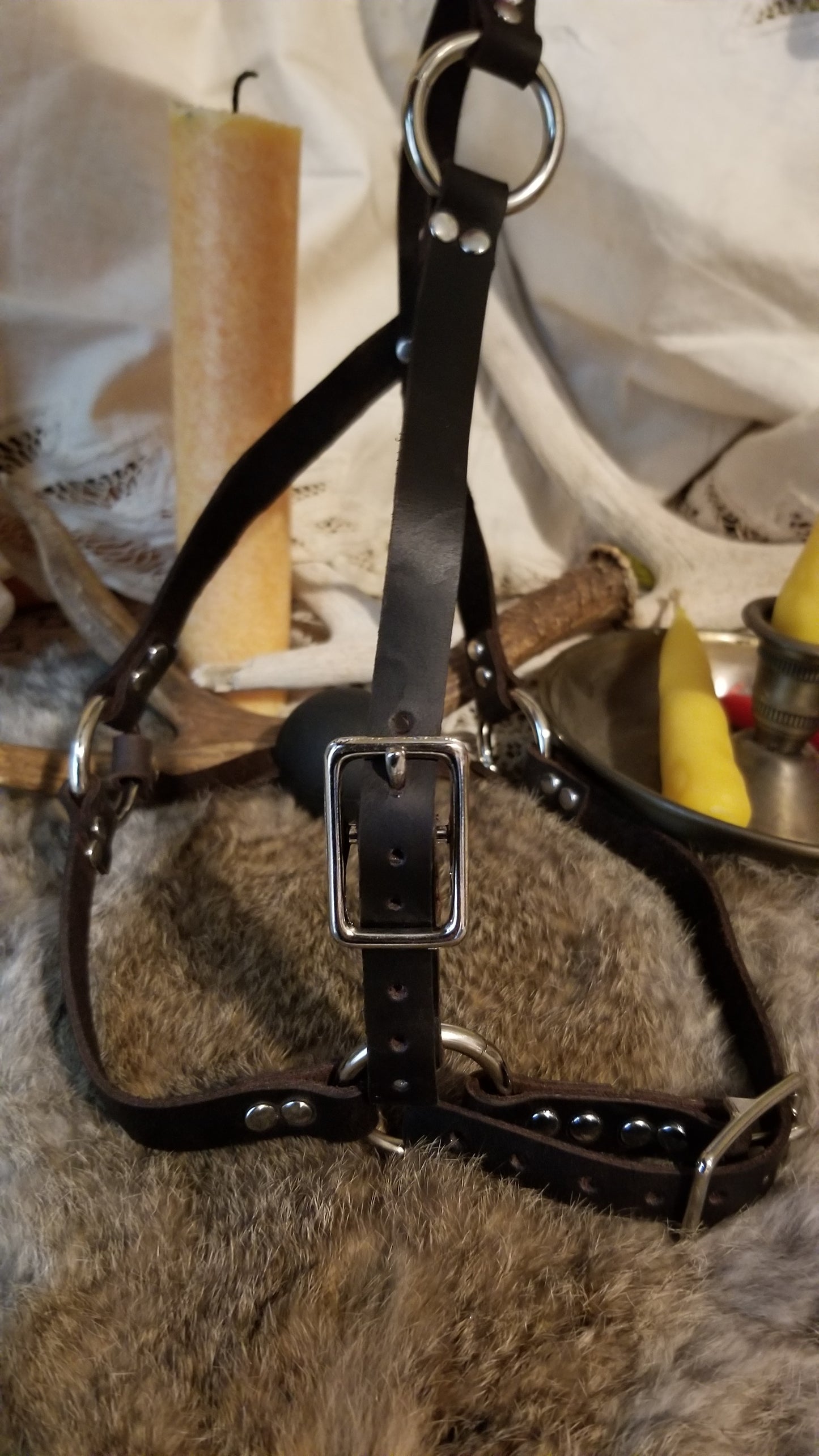 Daddy long legs ball gag