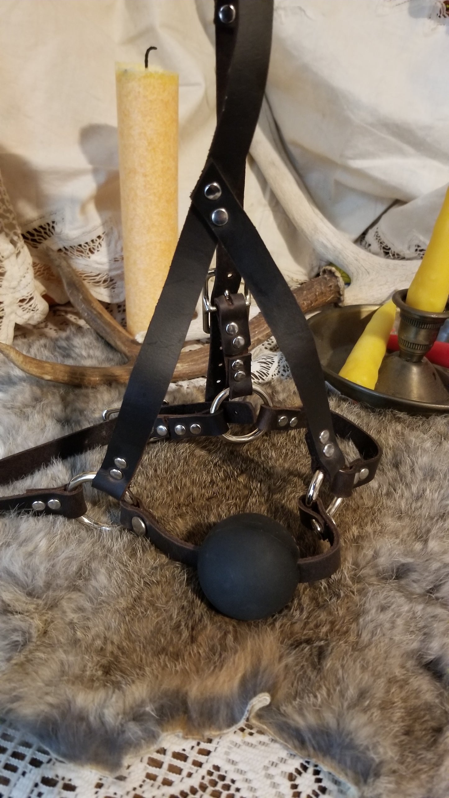 Daddy long legs ball gag