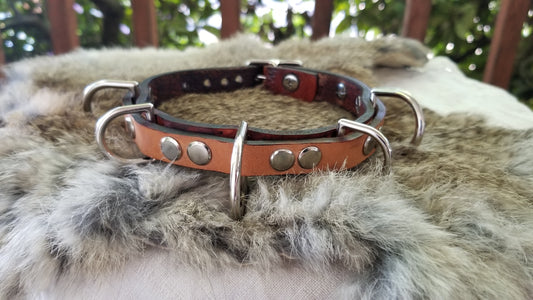 Danu Collar
