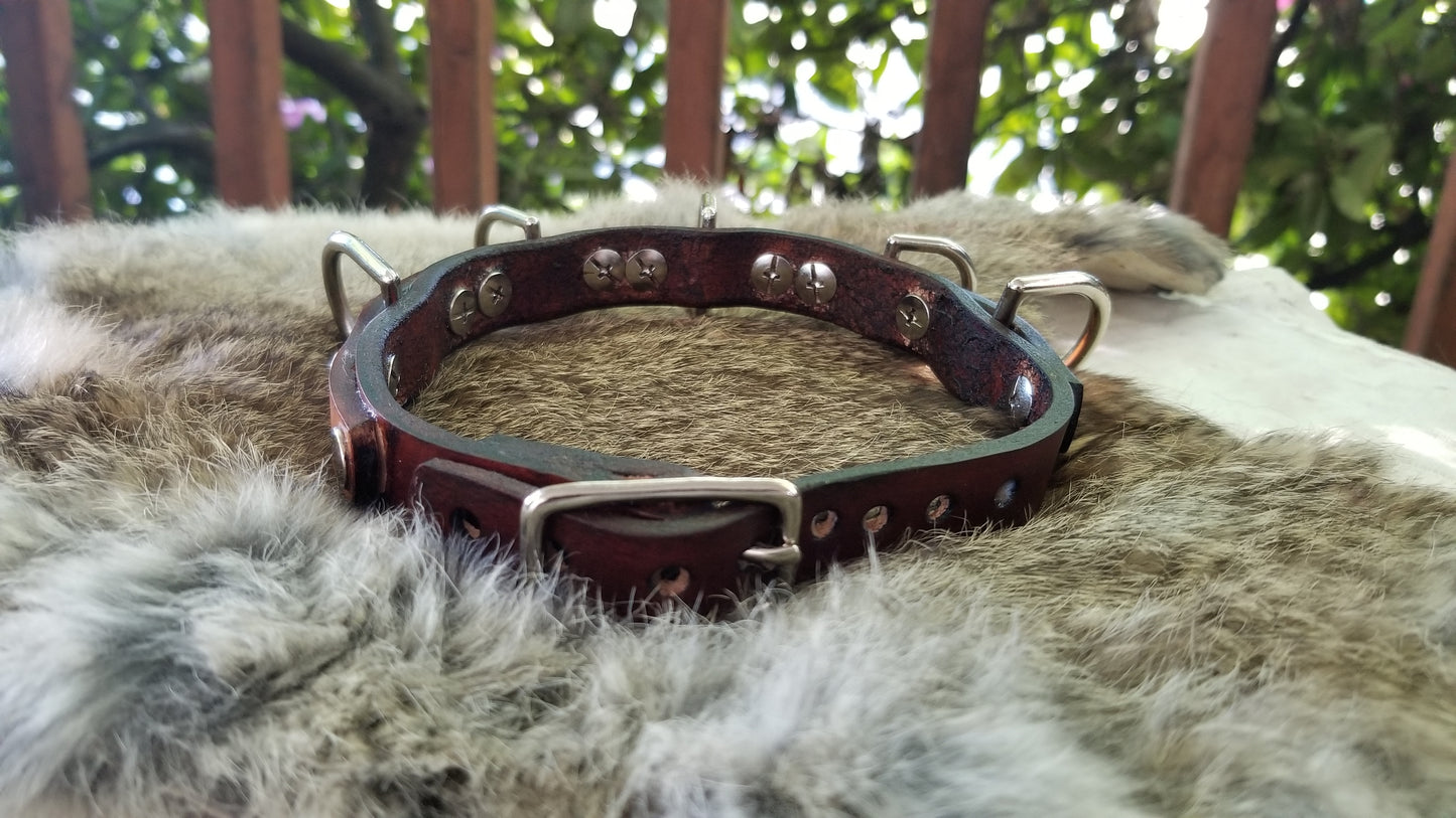 Danu Collar