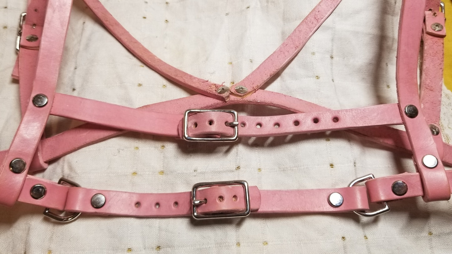 Hel Harness