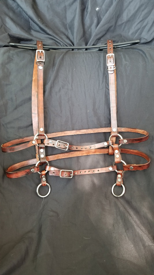 June harness