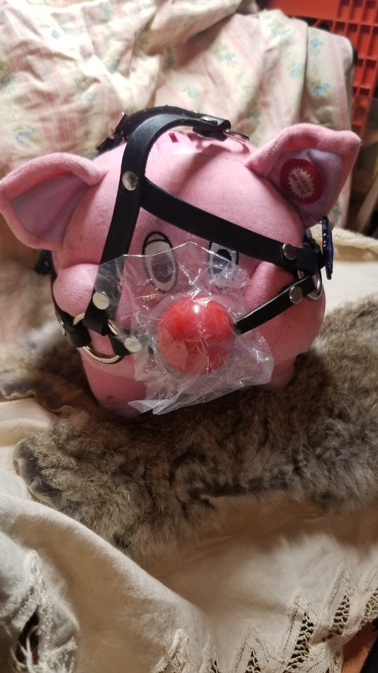 Daddy long legs ball gag