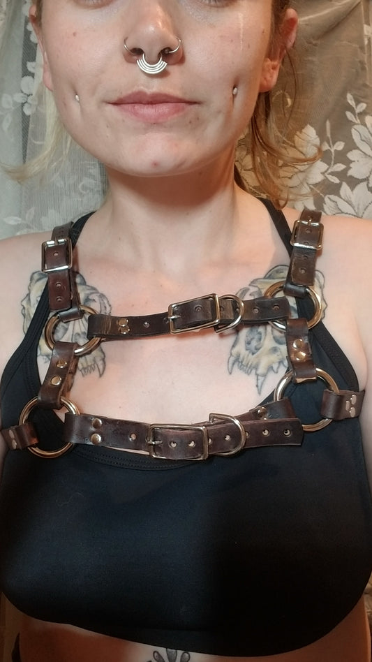 Baby Rattler top harness