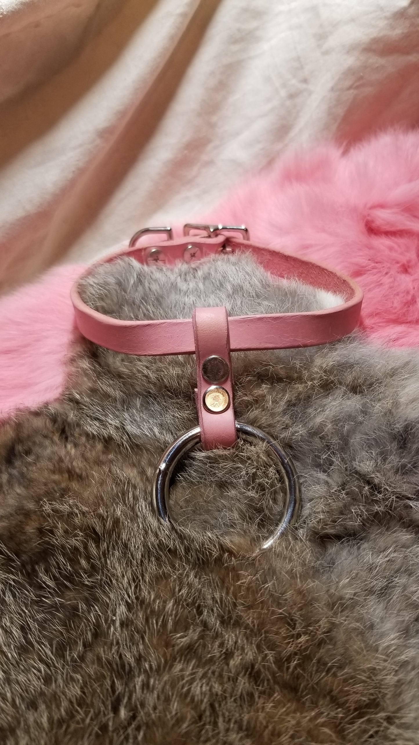 Violet Collar