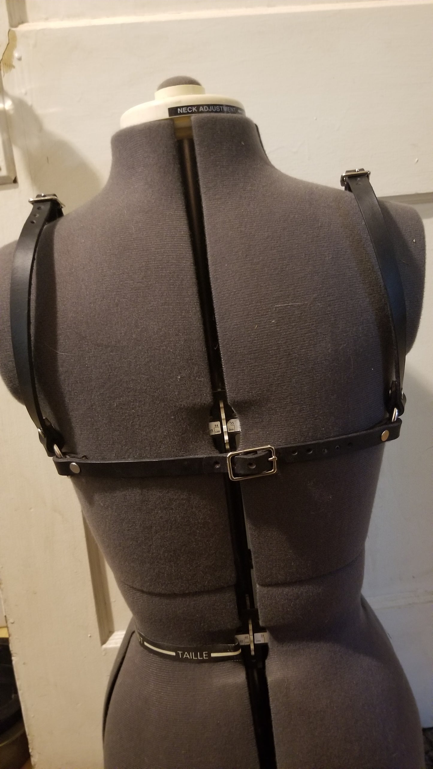 Babd Harness