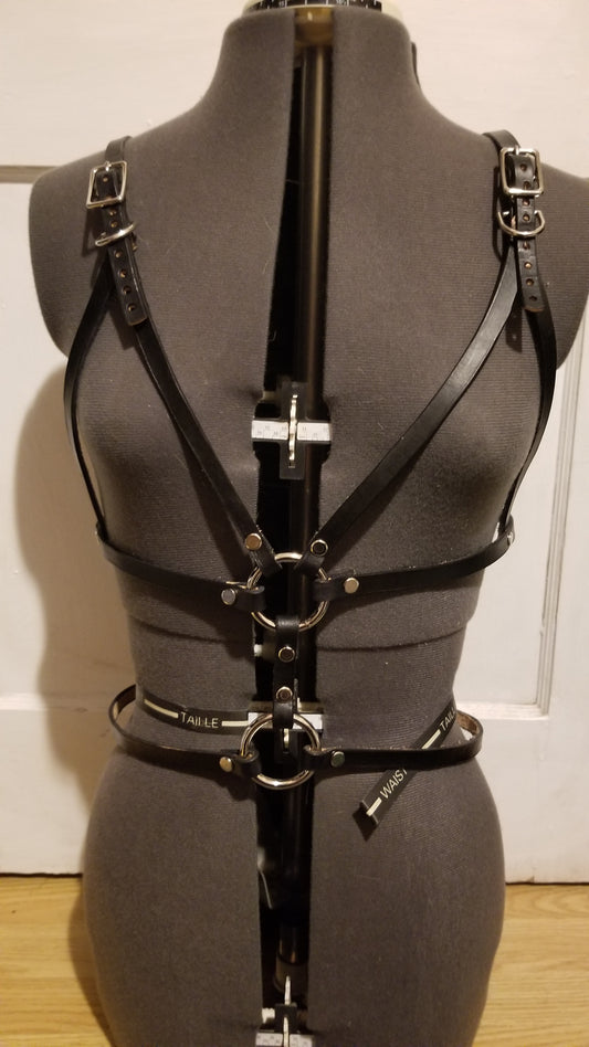 Desert Lupine Harness