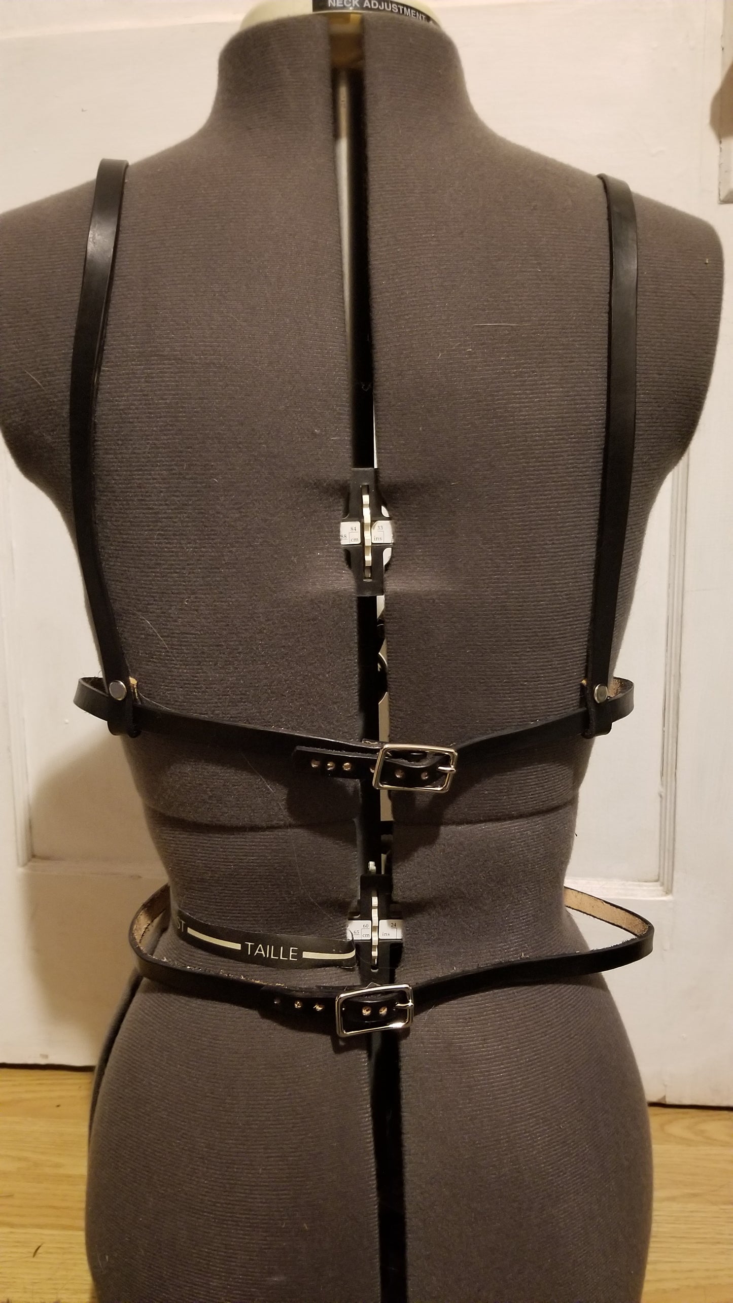 Desert Lupine Harness