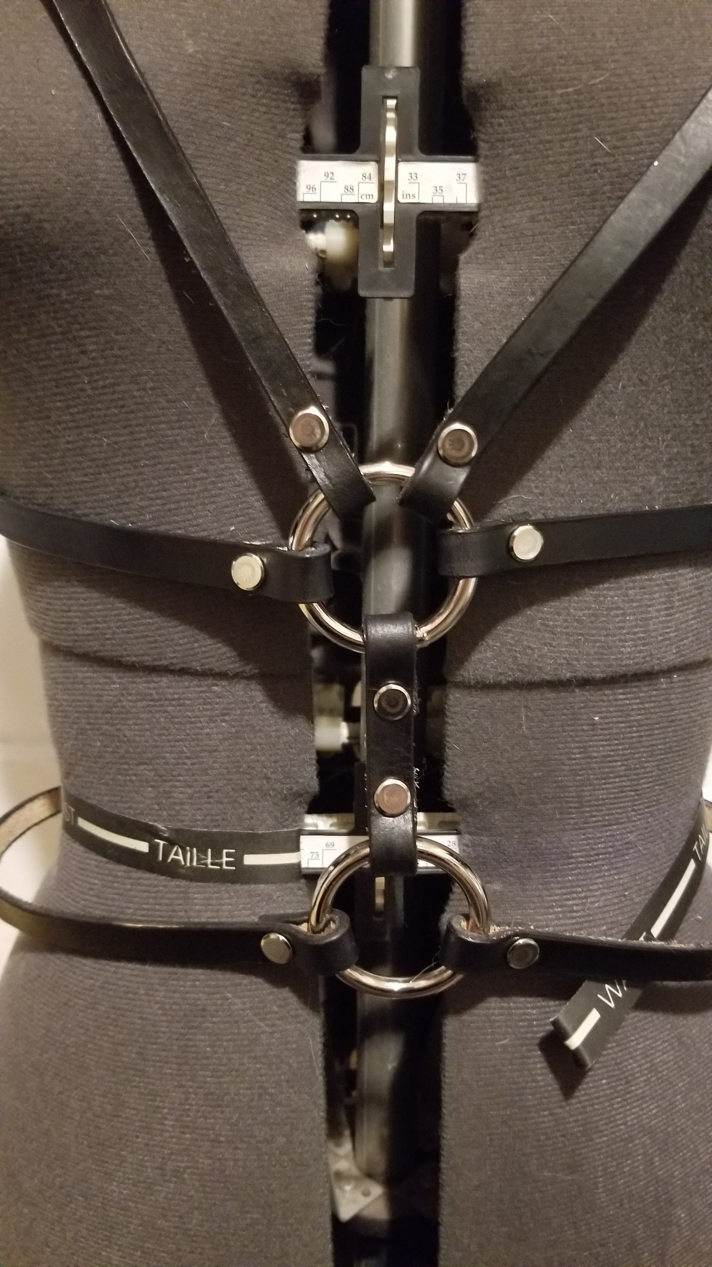 Desert Lupine Harness