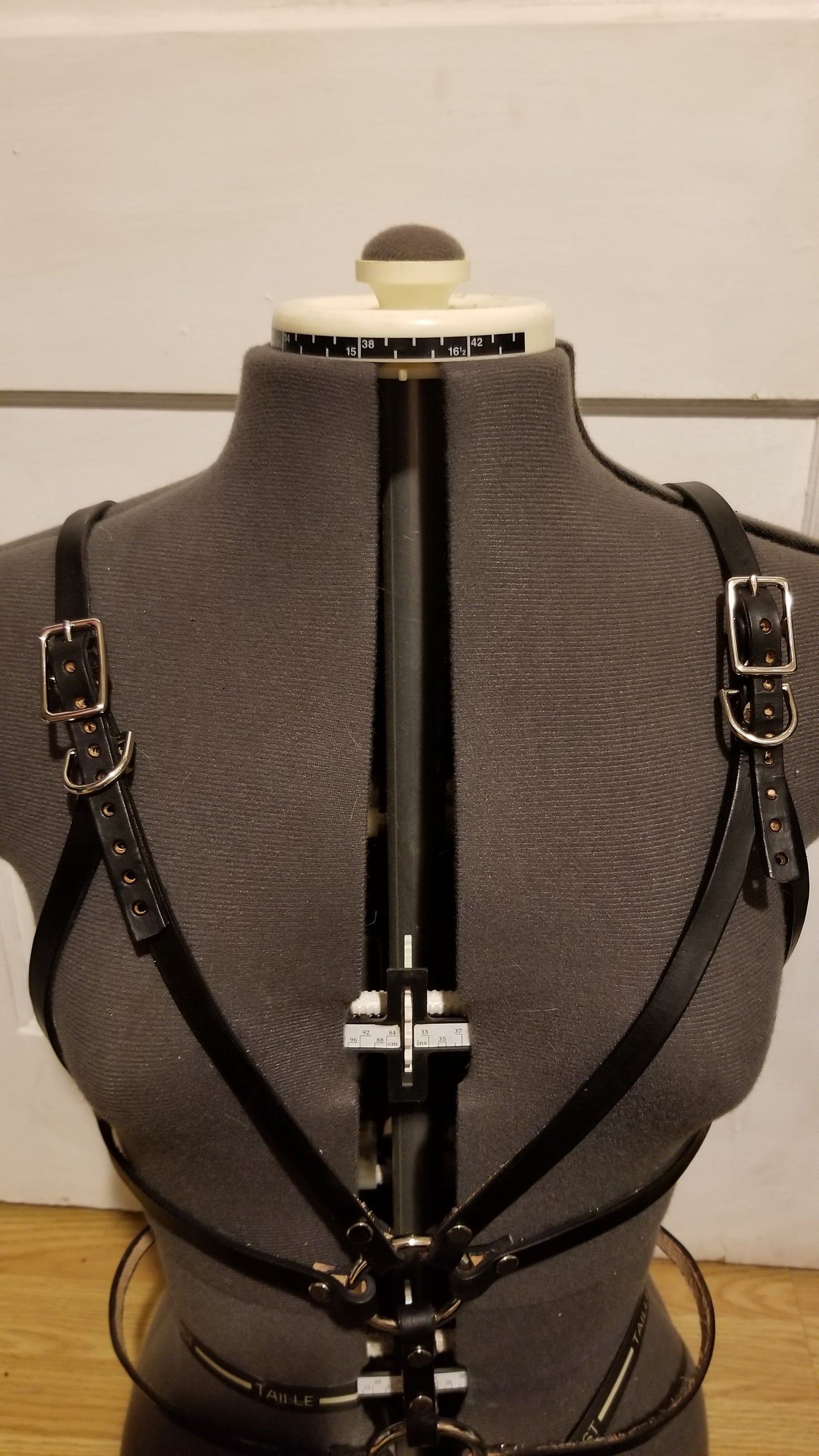 Desert Lupine Harness