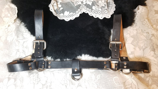 Bull dog Harness