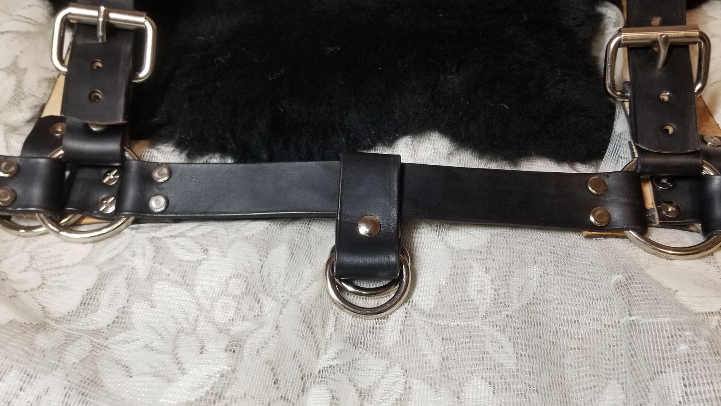 Bull dog Harness