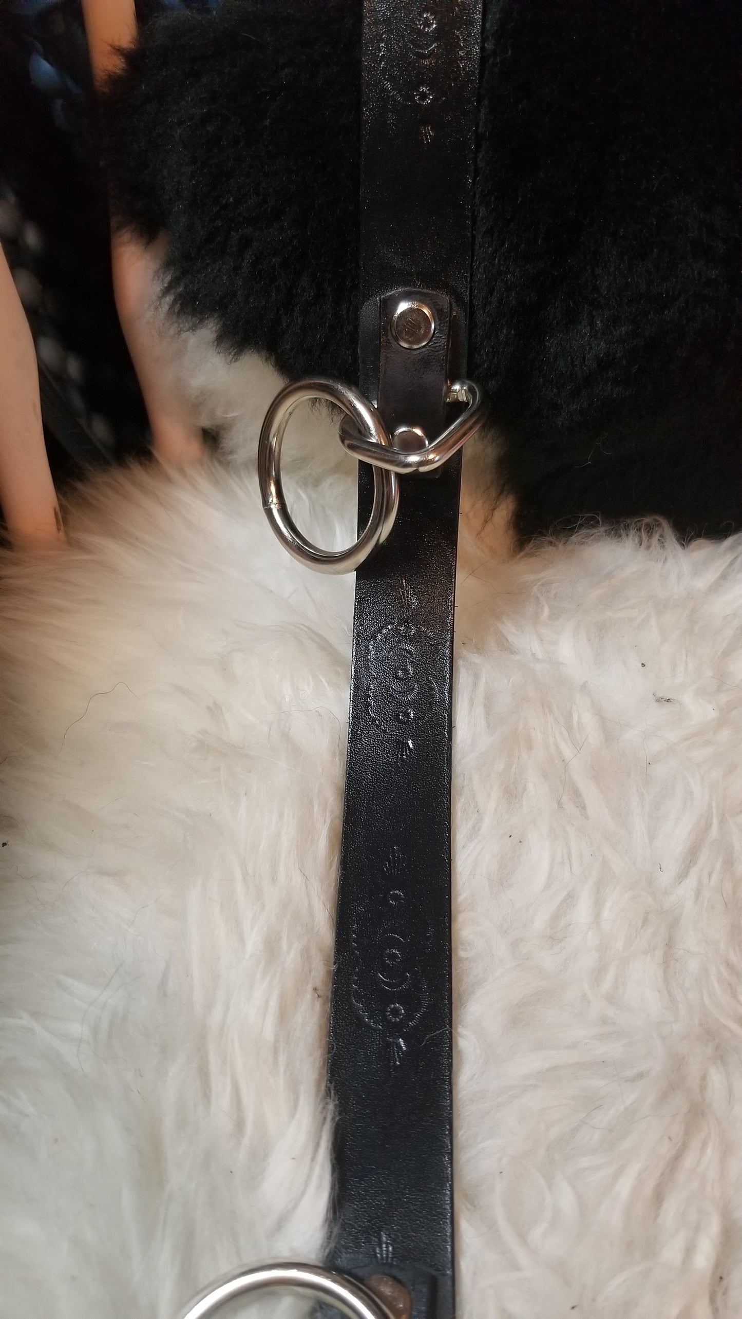 Tumbleweed bondage belt