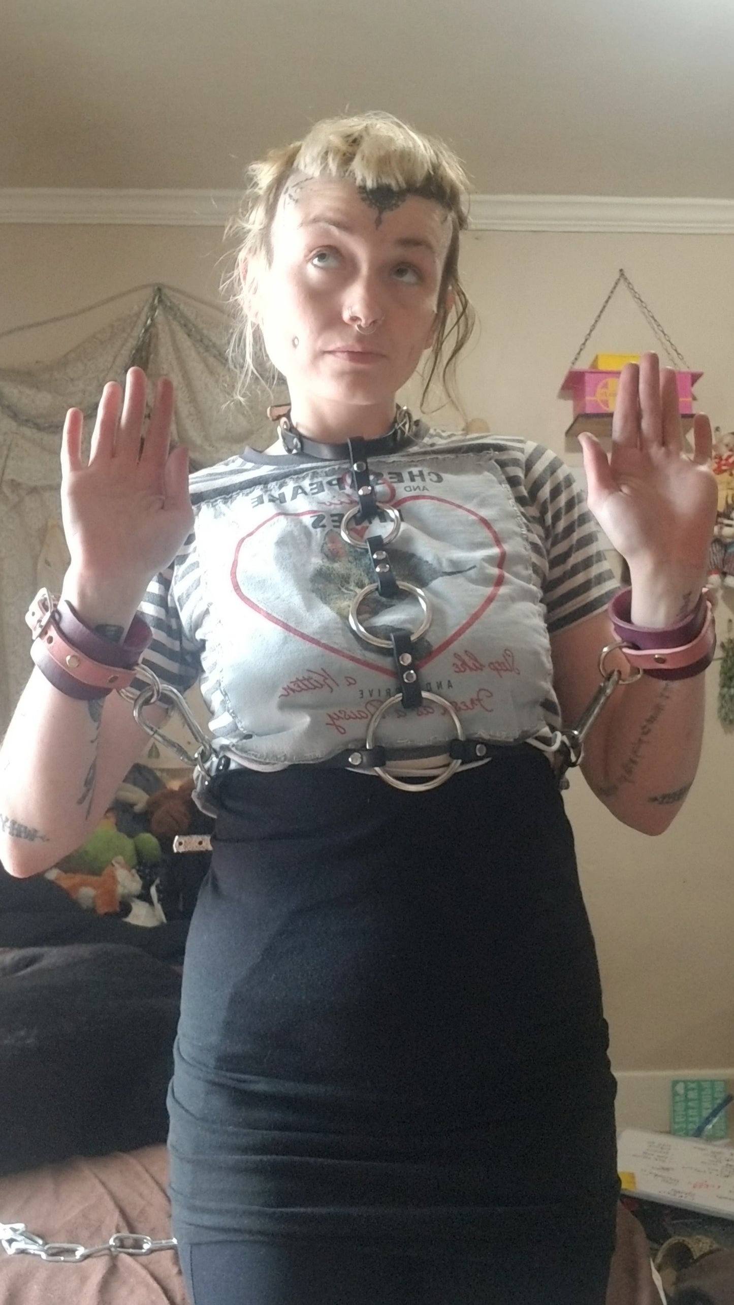 Aibell harness