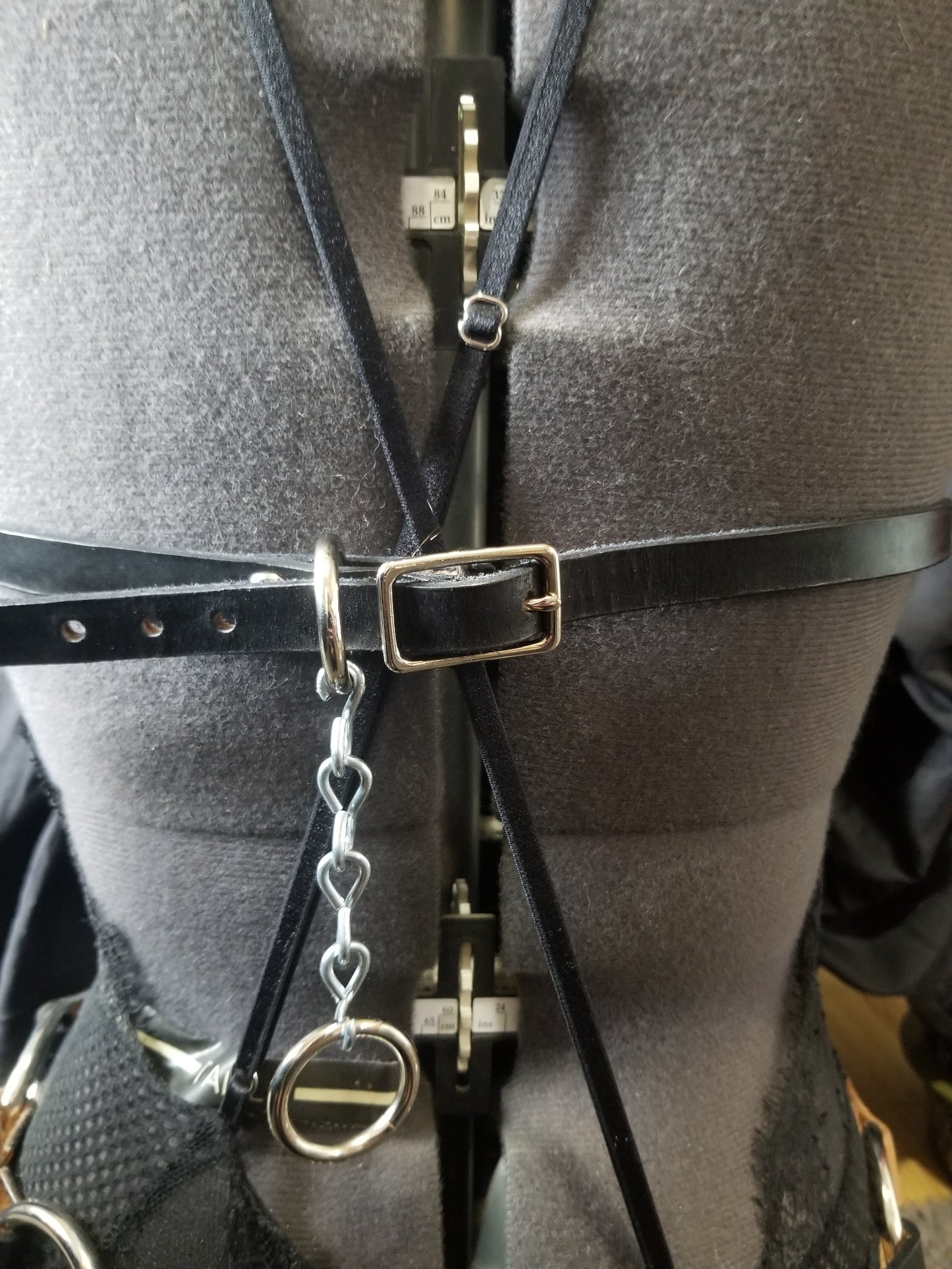 Aibell harness