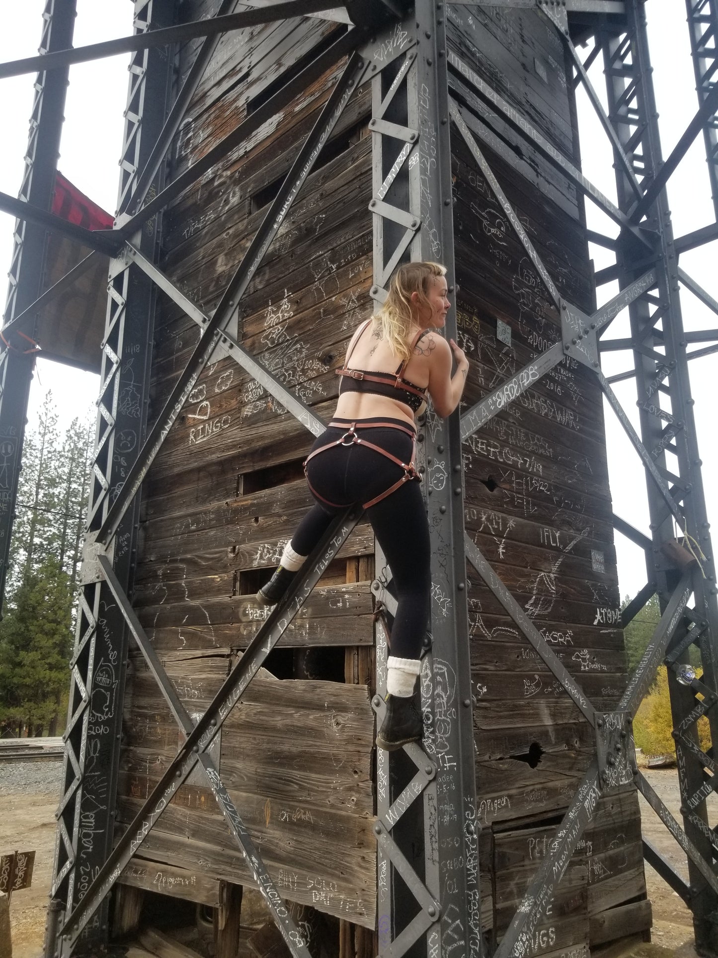 Balor bottom harness