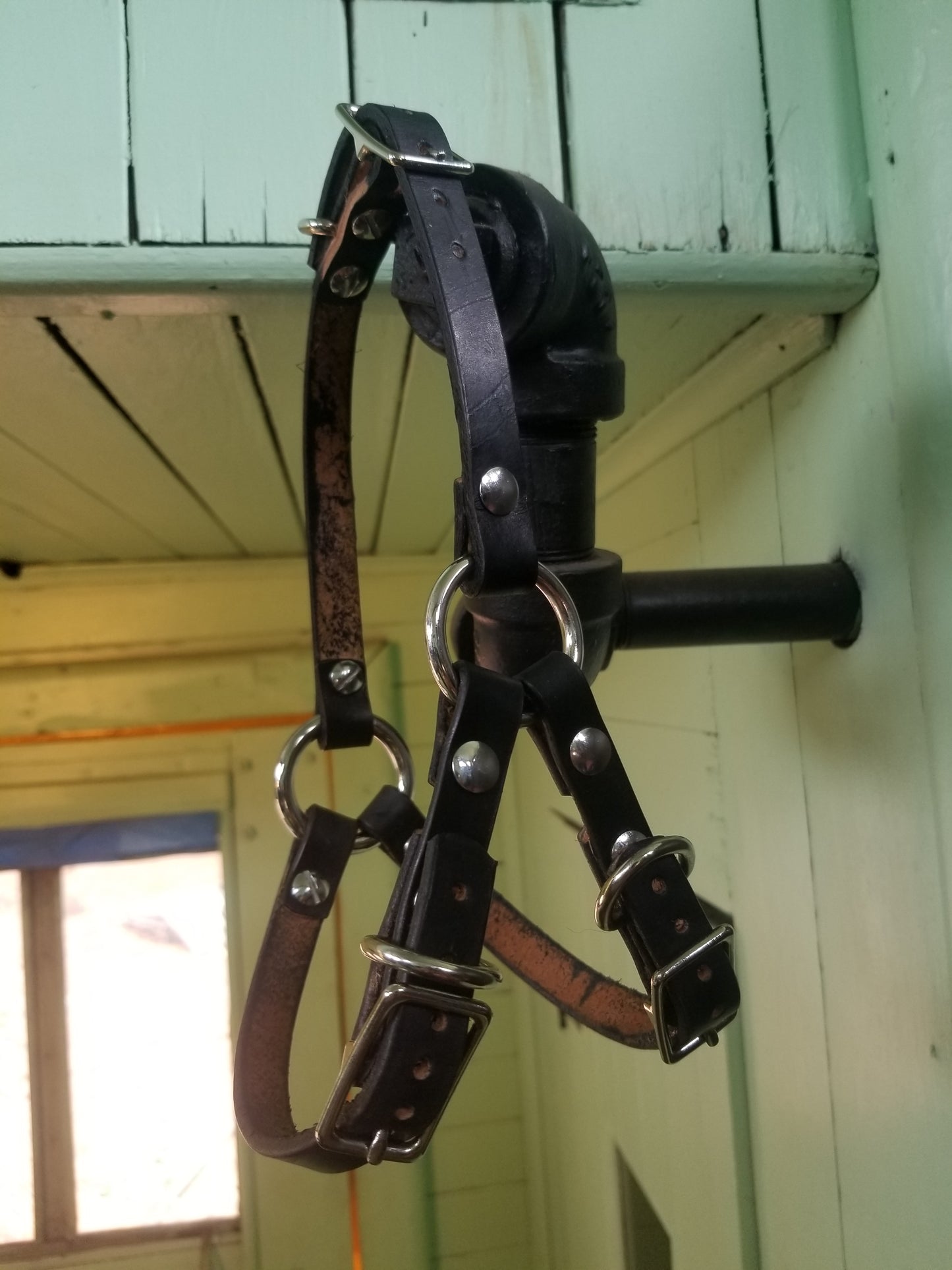 Dullahan face harness