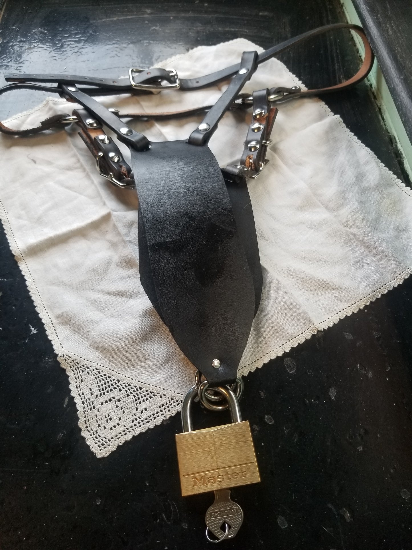 Branwen Chastity belt