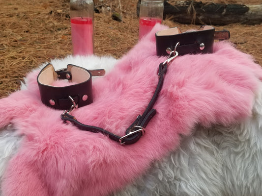 Kelpie arm restraints