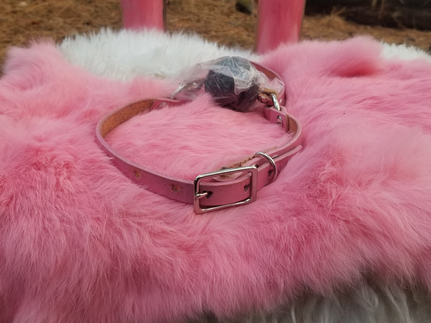Sweetheart xl ball gag harness