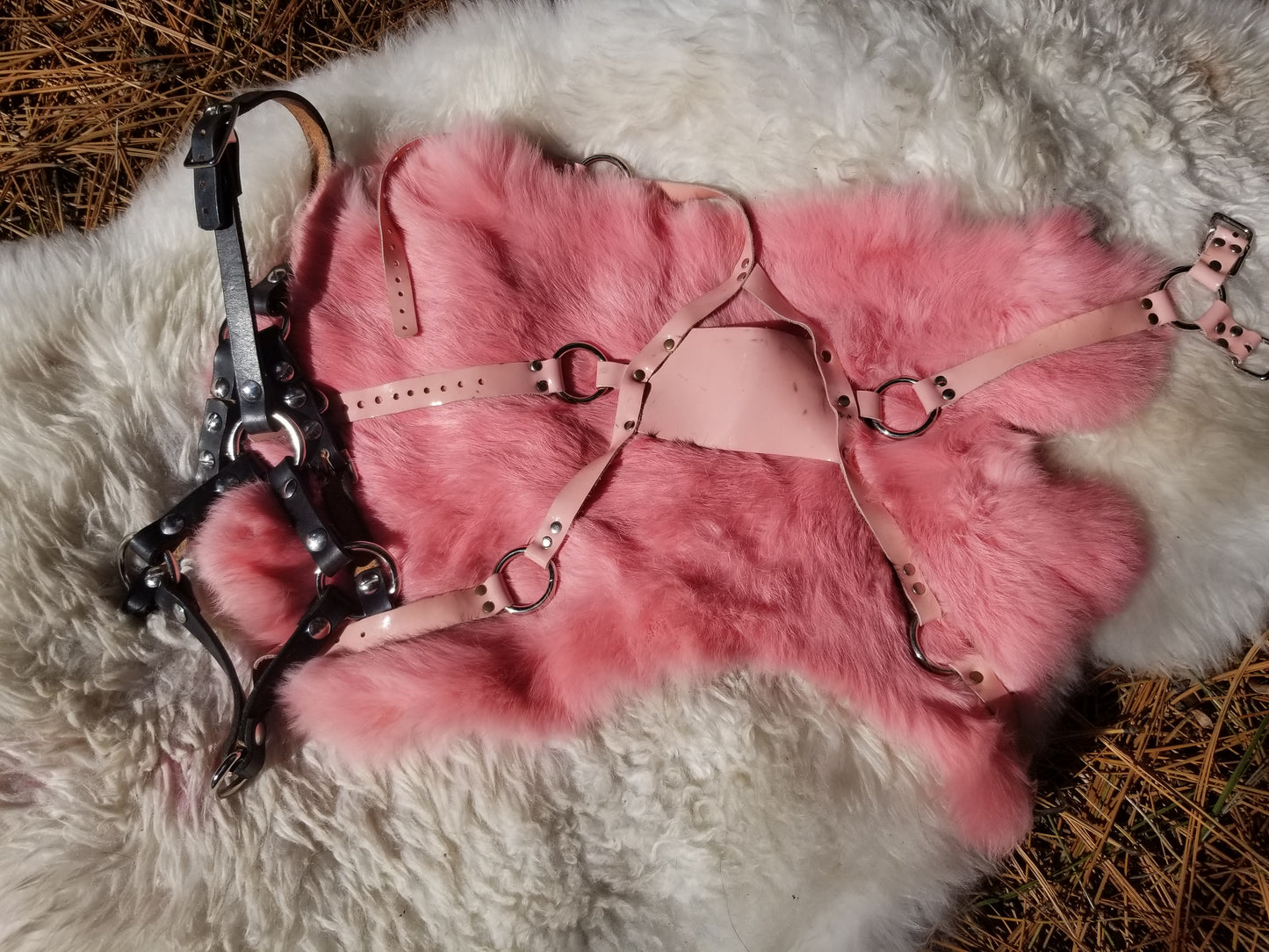 Bondage Box three