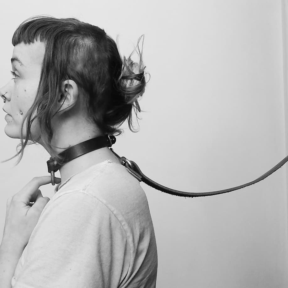 Leather leash