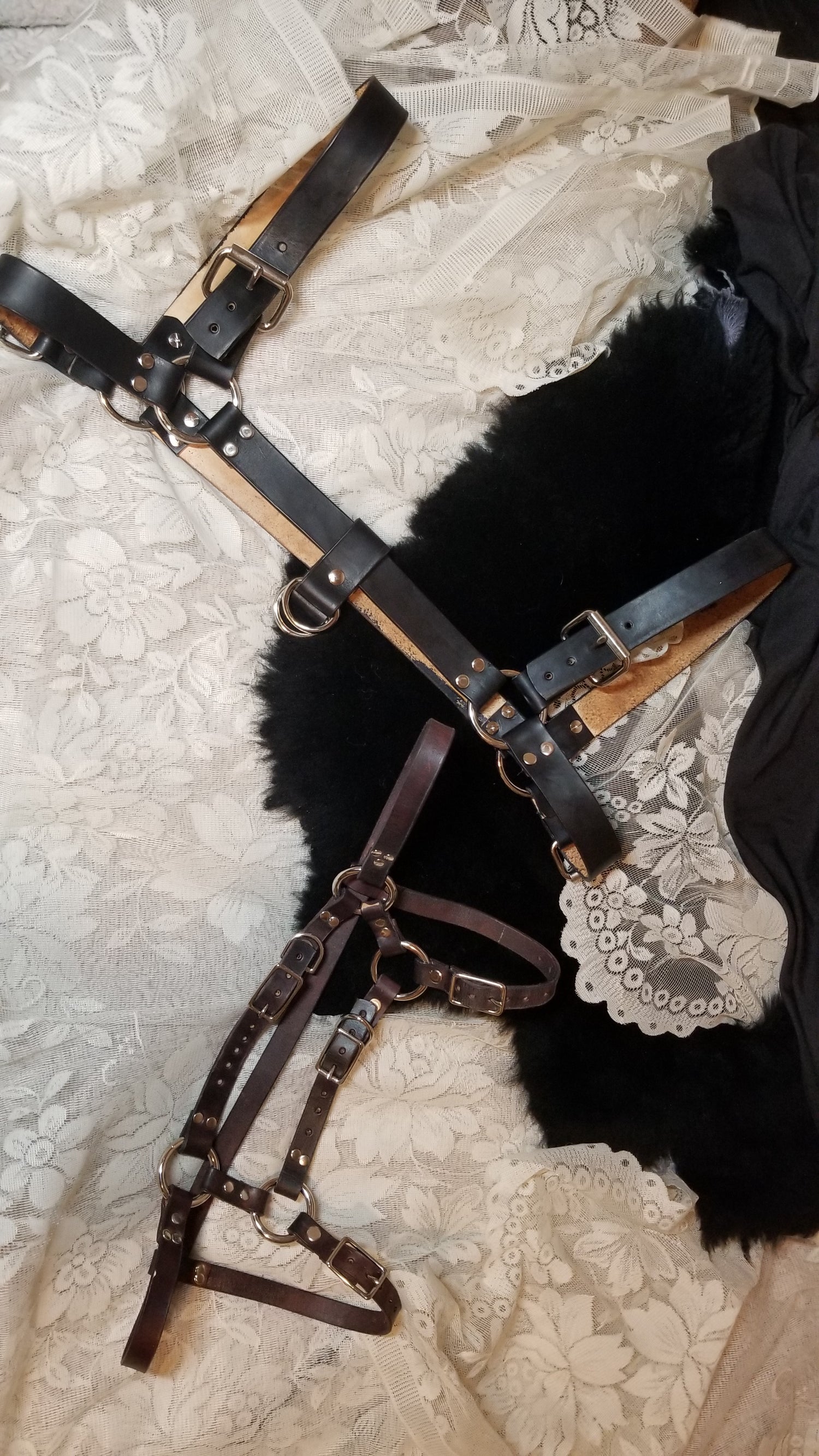 Harnesses