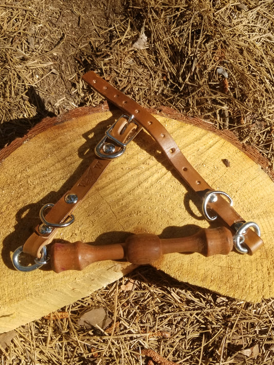 Thuja ball gag