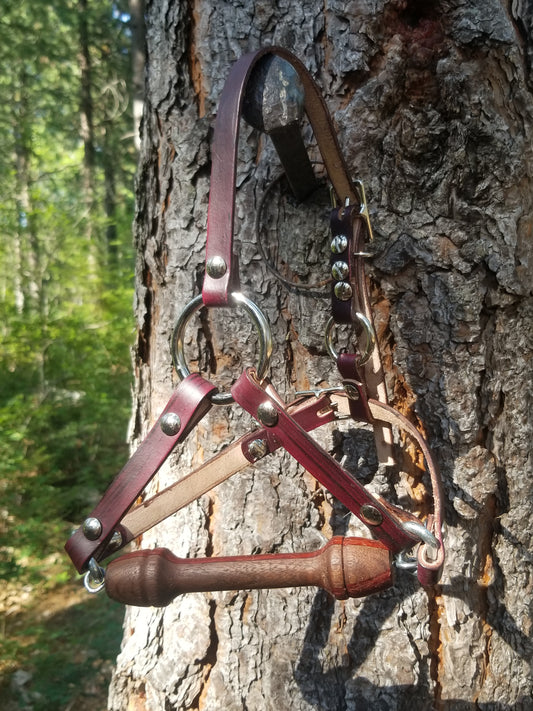 Juniper face strap/harness gag
