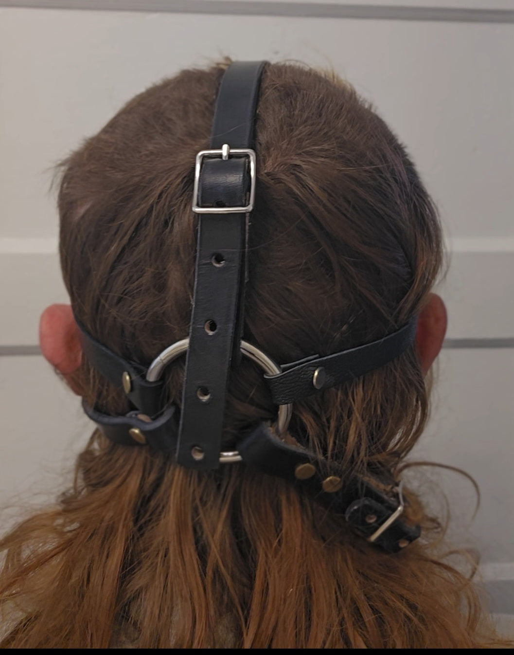 Trust Facelead harness RTS