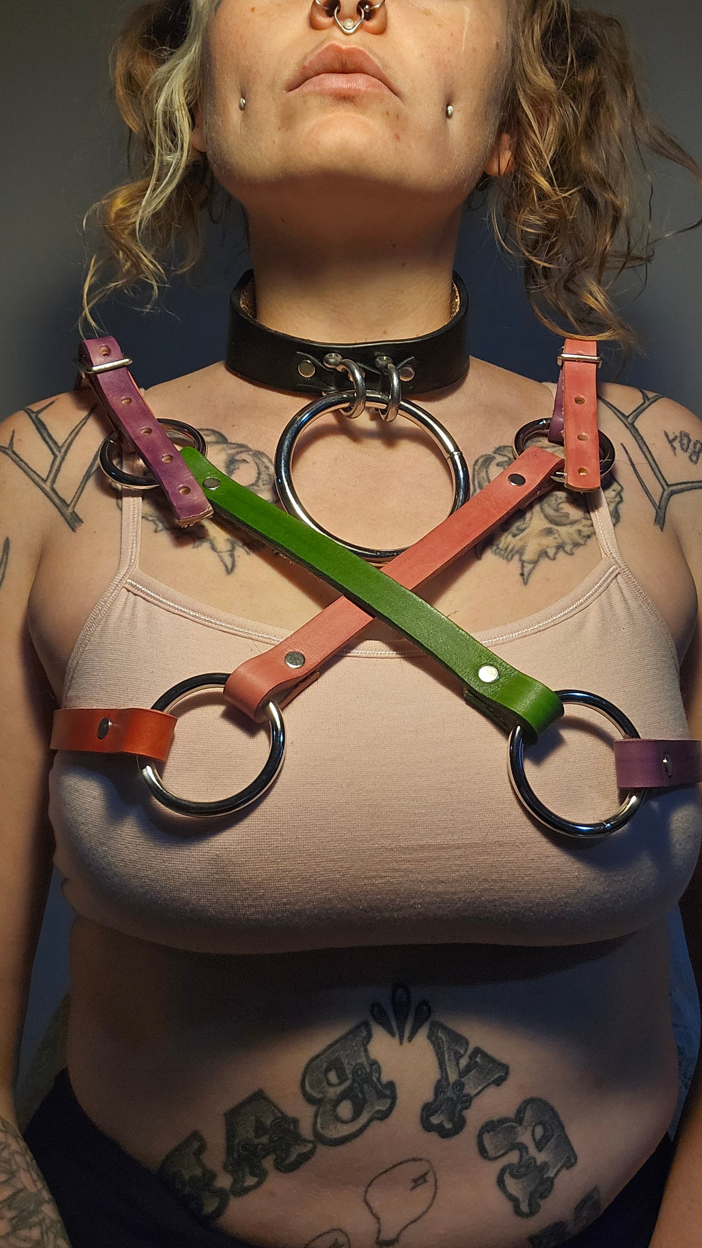 Clowntown Top harness