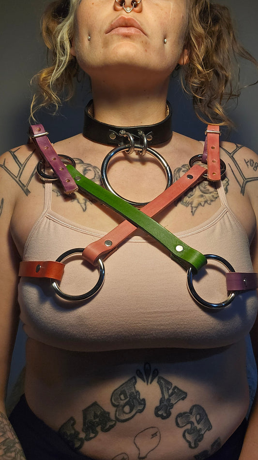Clowntown Top harness