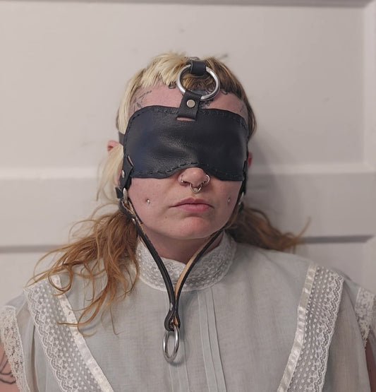 Trust Facelead harness RTS