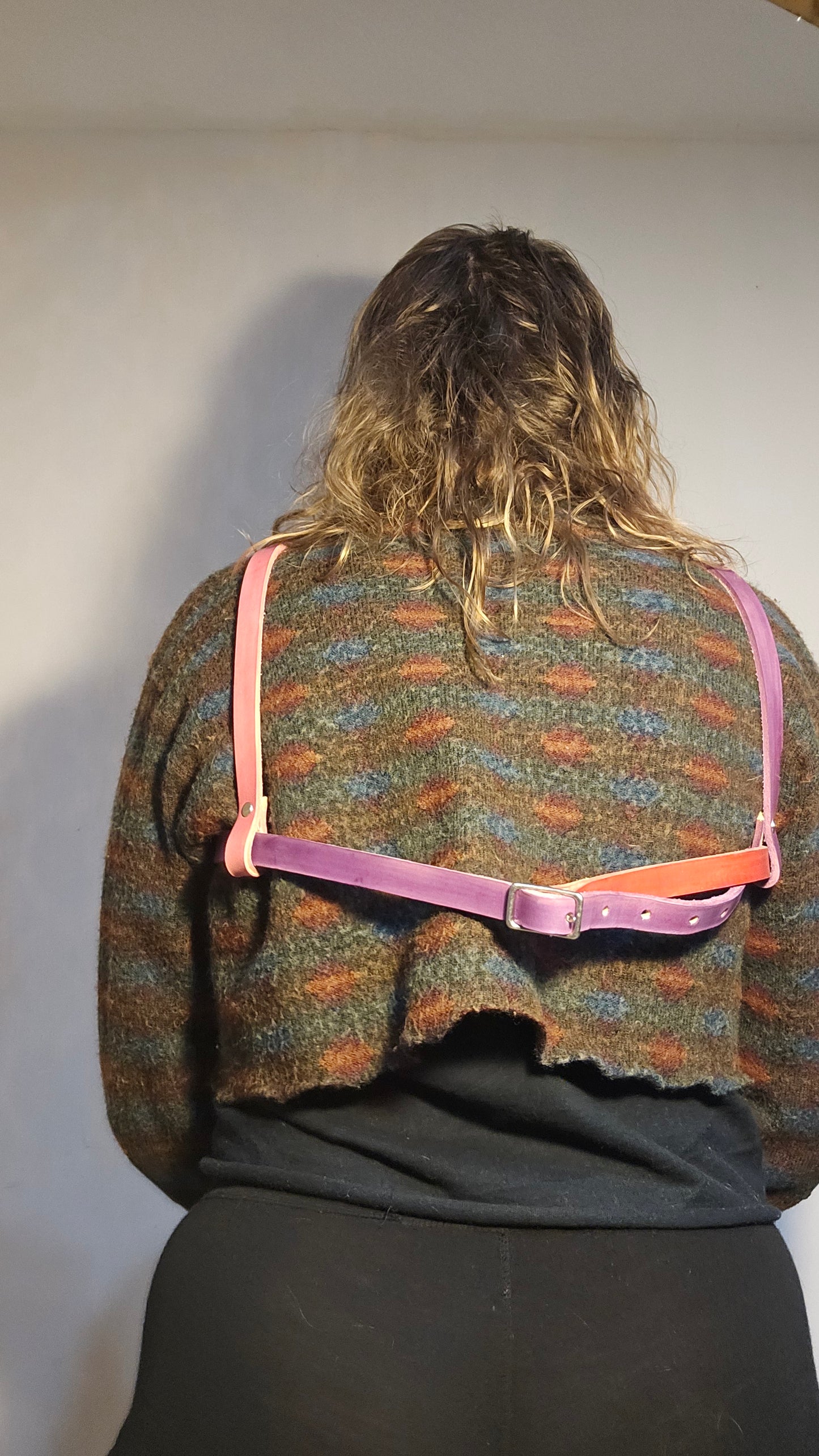 Clowntown Top harness