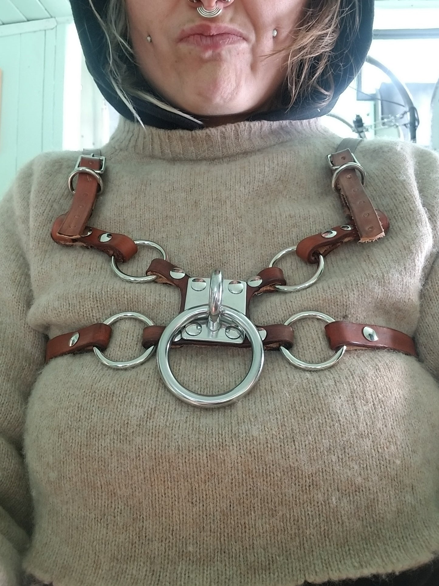Sluagh bulldog harness