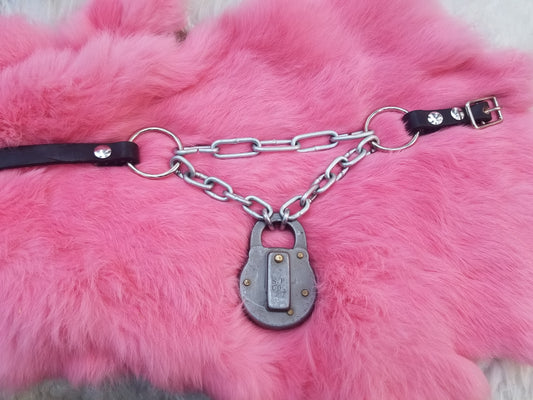 Southern Pacific lock collar