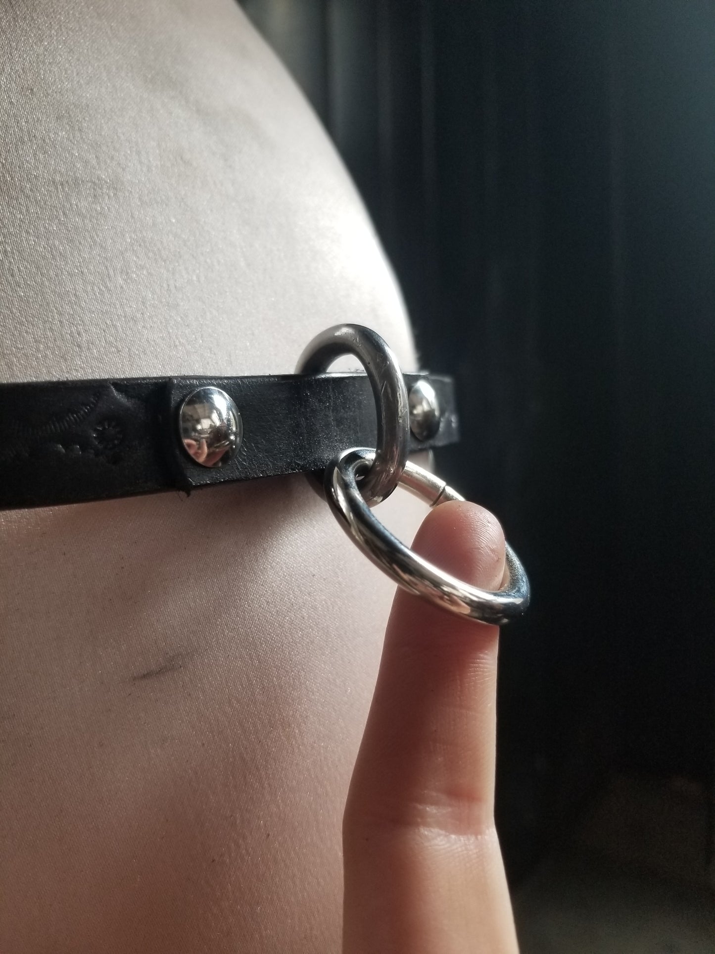 Tiny tumbleweed Bondage belt